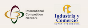 International Competition Network